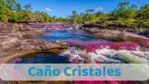 Caño Cristales